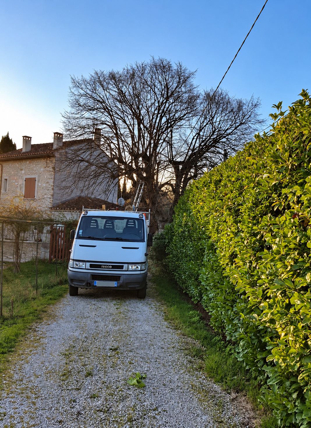 Camion Iveco garé sur un chemin devant un grand arbre