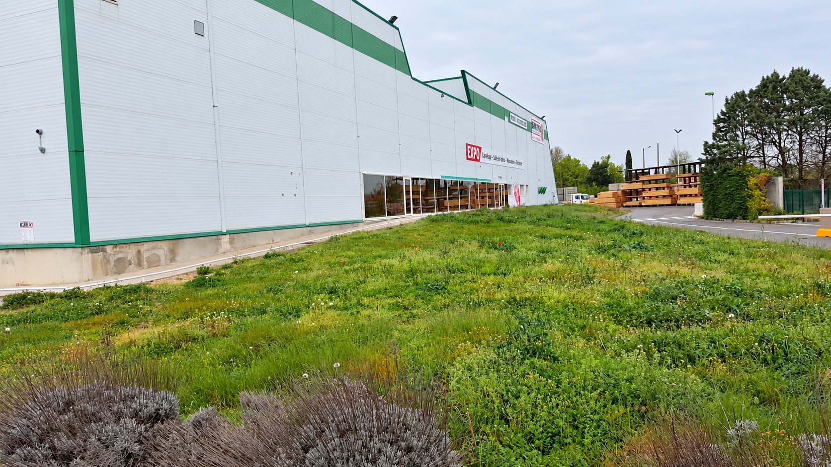 Façade d'un grand magasin blanc et vert avec pelouse fleurie