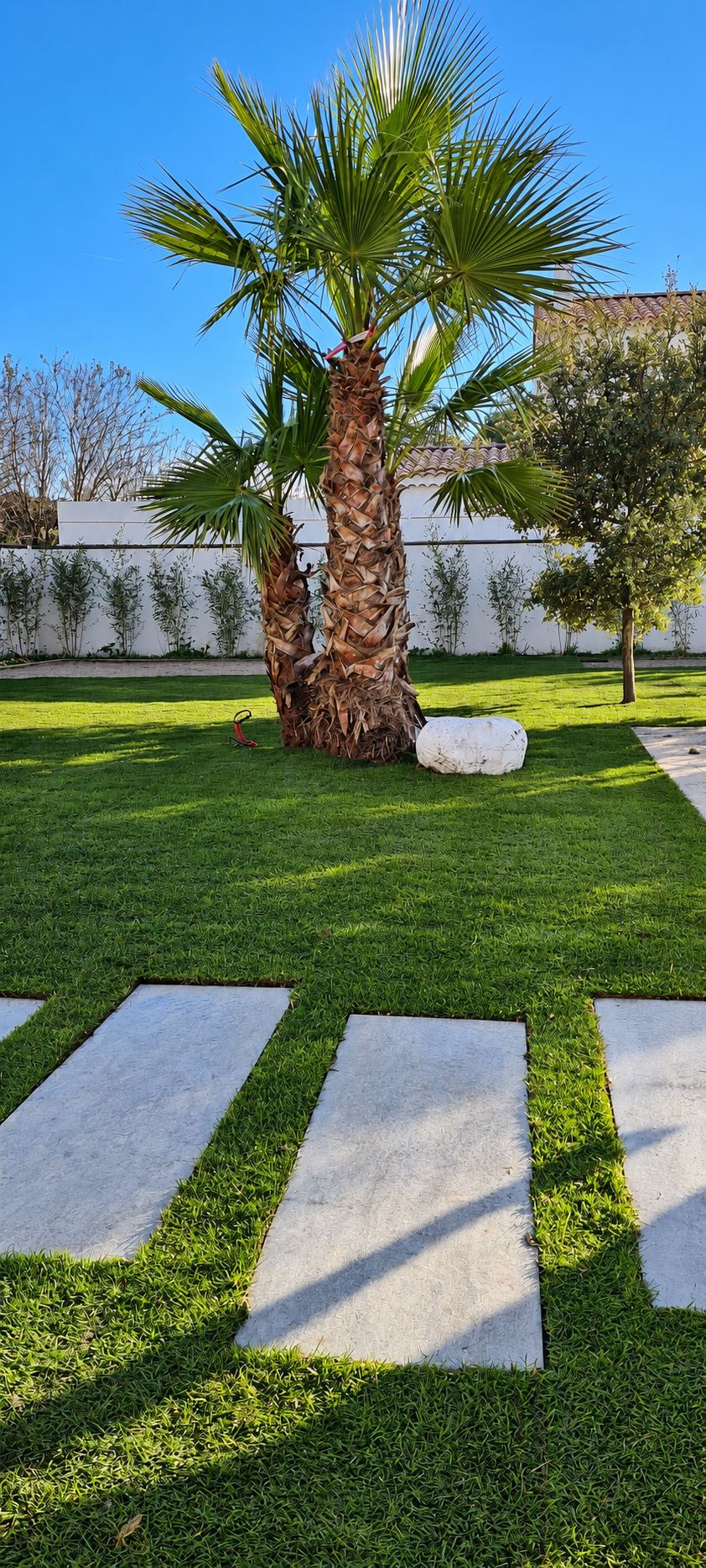 Jardin avec pelouse neuve, dalles en pierre et palmiers