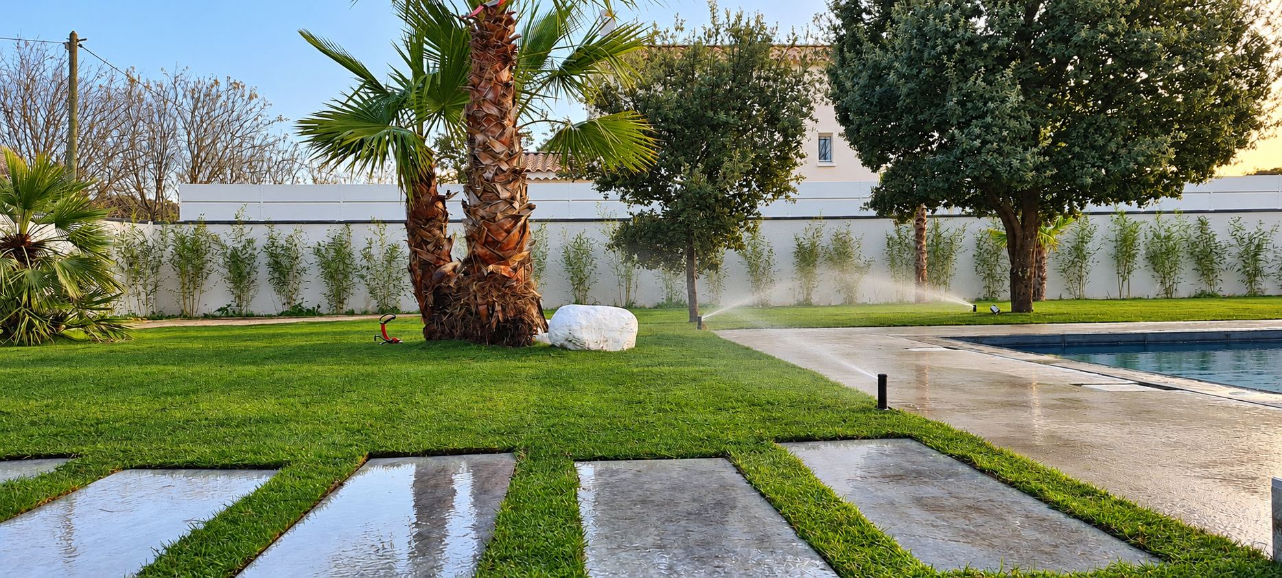 Jardin avec pelouse, palmiers et arrosage automatique près d'une piscine