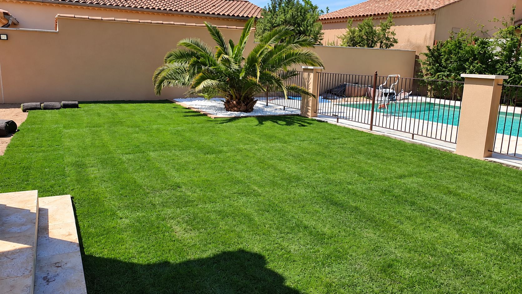 Jardin avec pelouse en plaques fraîchement posée, palmier et piscine clôturée