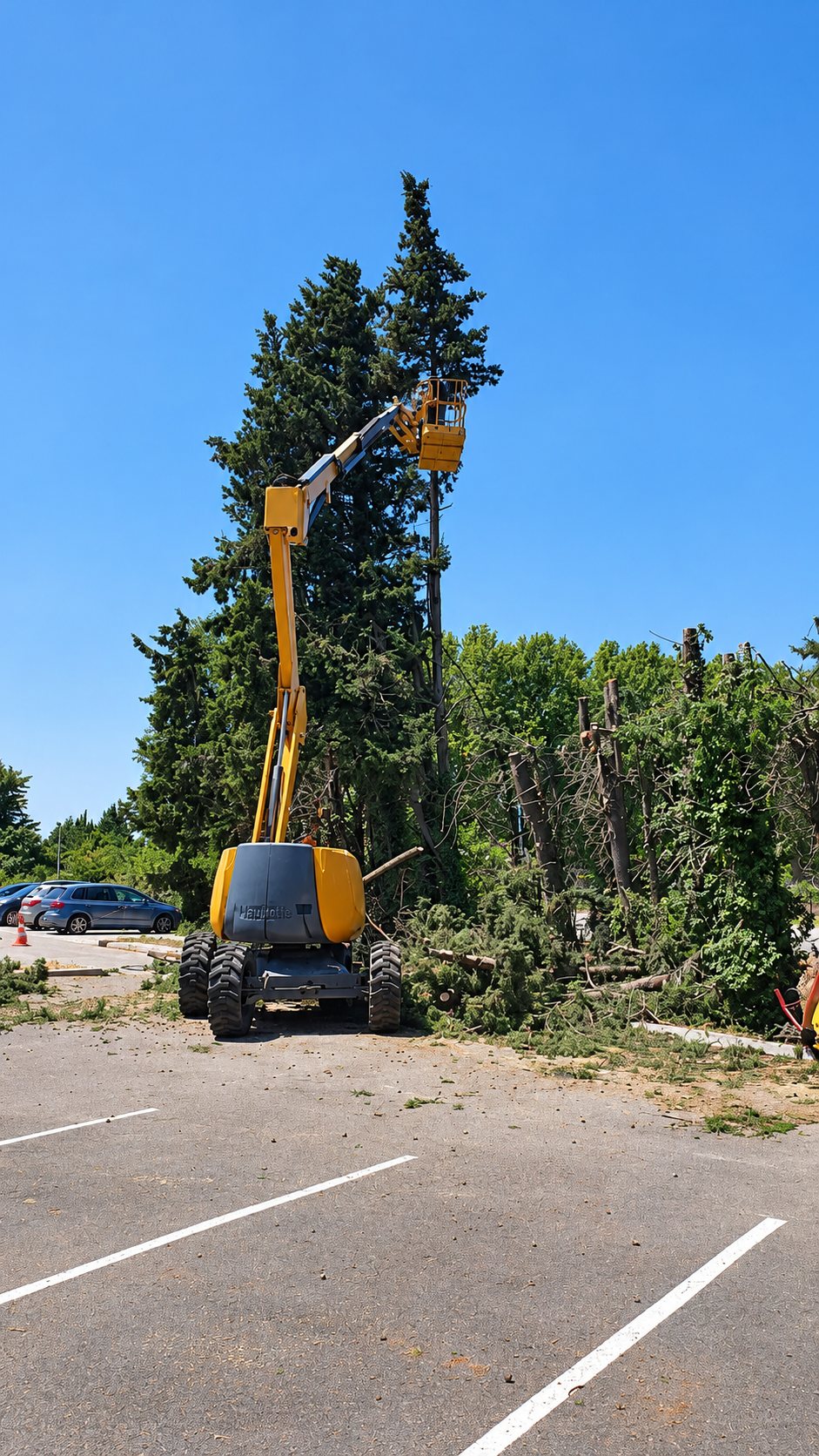 Nacelle élévatrice jaune sur un parking, près d’arbres élagués