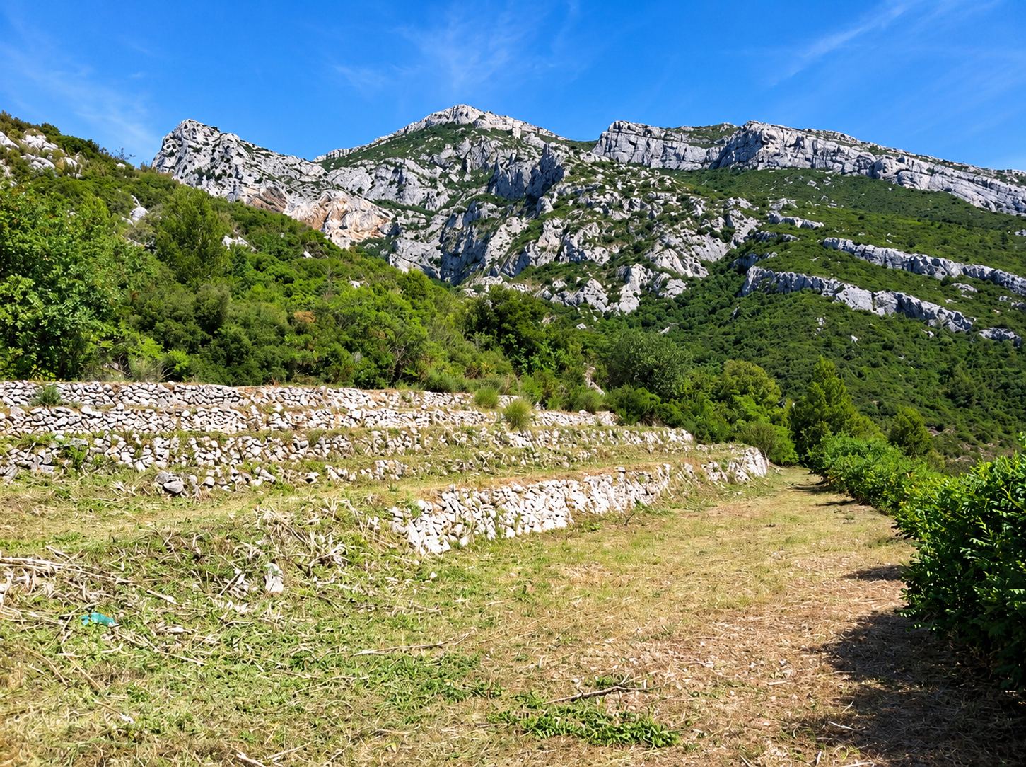 Terrasses en pierres sèches devant une montagne calcaire en Provence